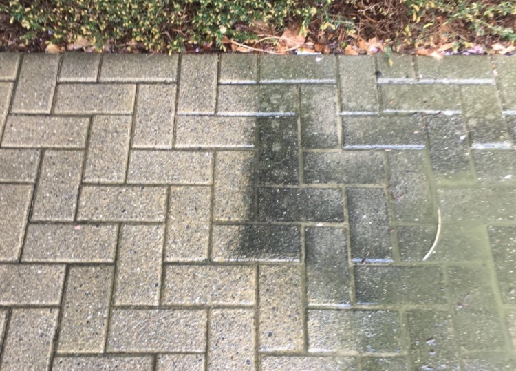 Terrasreiniging